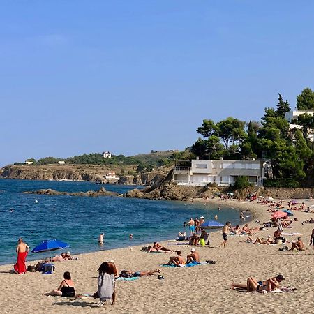 Studio 07 Argeles Sur Mer . La Plage A Pied, L'Espagne A 30 Mn Eksteriør bilde